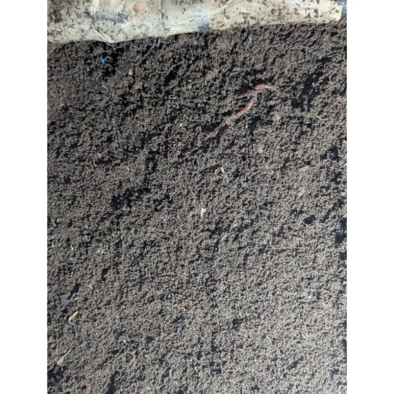 1Kg - Húmus de Minhoca 100% Puro - Adubo Orgânico Natural Plantas, Horta, Jardim e Vasos - Foto 3