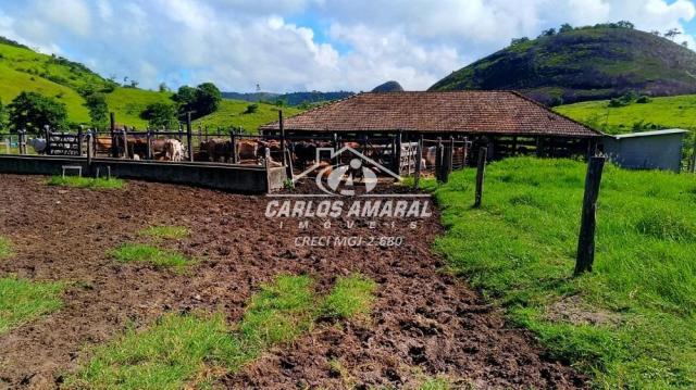Fazenda à venda, , zona rural - carlos chagas/mg - Foto 19