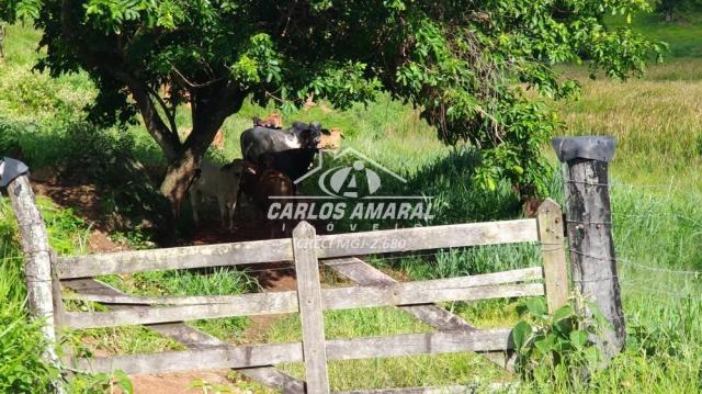Fazenda à venda, , zona rural - carlos chagas/mg - Foto 11
