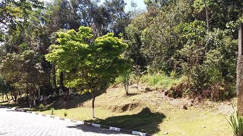 Terreno à venda em Serra da cantareira, São paulo cod:302781 - Foto 3