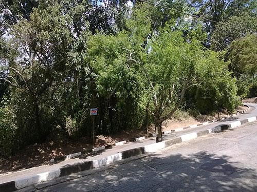Terreno à venda em Serra da cantareira, São paulo cod:137051 - Foto 3