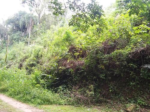 Terreno à venda em Serra da cantareira, São paulo cod:144890