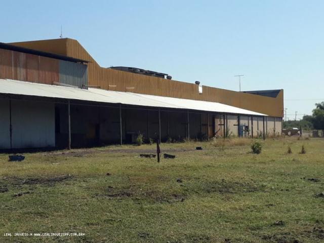 Loja - Foto 13