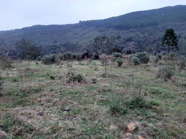 Chácara de 39 Alqueires. 18 de pasto - 26 km da Colônia Vitória . Guarapuava PR - Foto 3