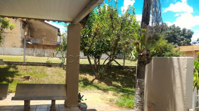 Sítio para alugar em Loteamento auferville, Sao jose do rio preto cod:L7151 - Foto 13