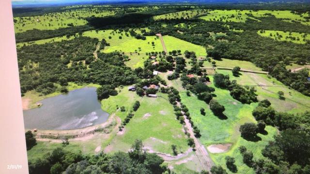 Fazenda 1.456 hectares para Pecuária apos a Guia há 66 km de Cuiabá - Foto 8