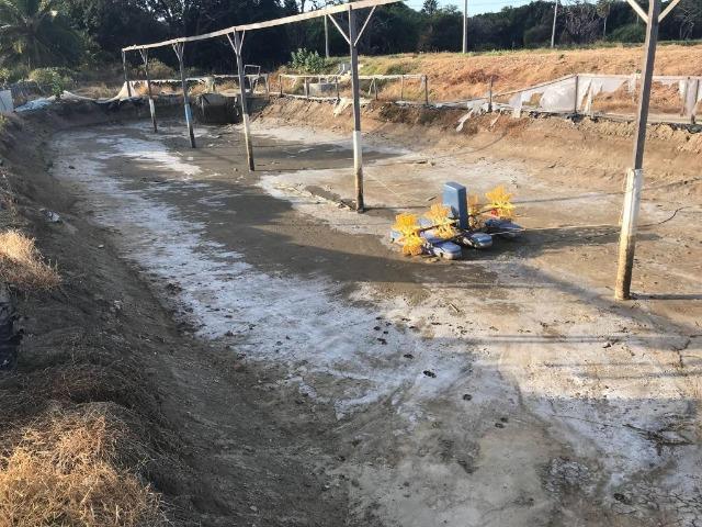 FA0002 Fazenda de camarão em Aracati, Negócio Montado, 110.000m² de terreno - Foto 18