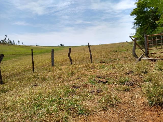 Sitio á venda em Fernandópolis - Foto 2