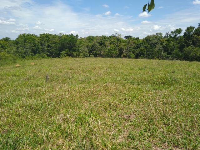 Sitio á venda em Fernandópolis - Foto 16