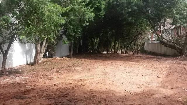 Terreno comercial para locação, Tristeza, Porto Alegre. - Foto 3