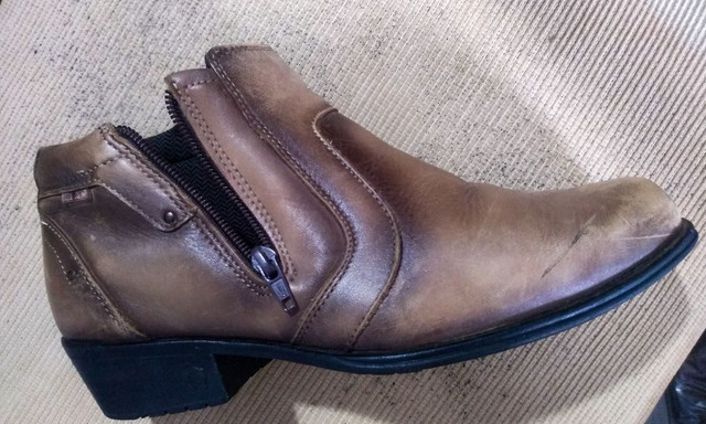 bota pelicatto
