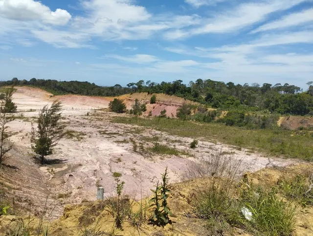 Excelente área 25.000m Jabaeté pra vender