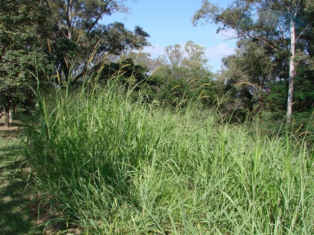 Terreno à venda, 1017 m² por R$ 870.000,00 - Condomínio Marambaia - Vinhedo/SP - Foto 3