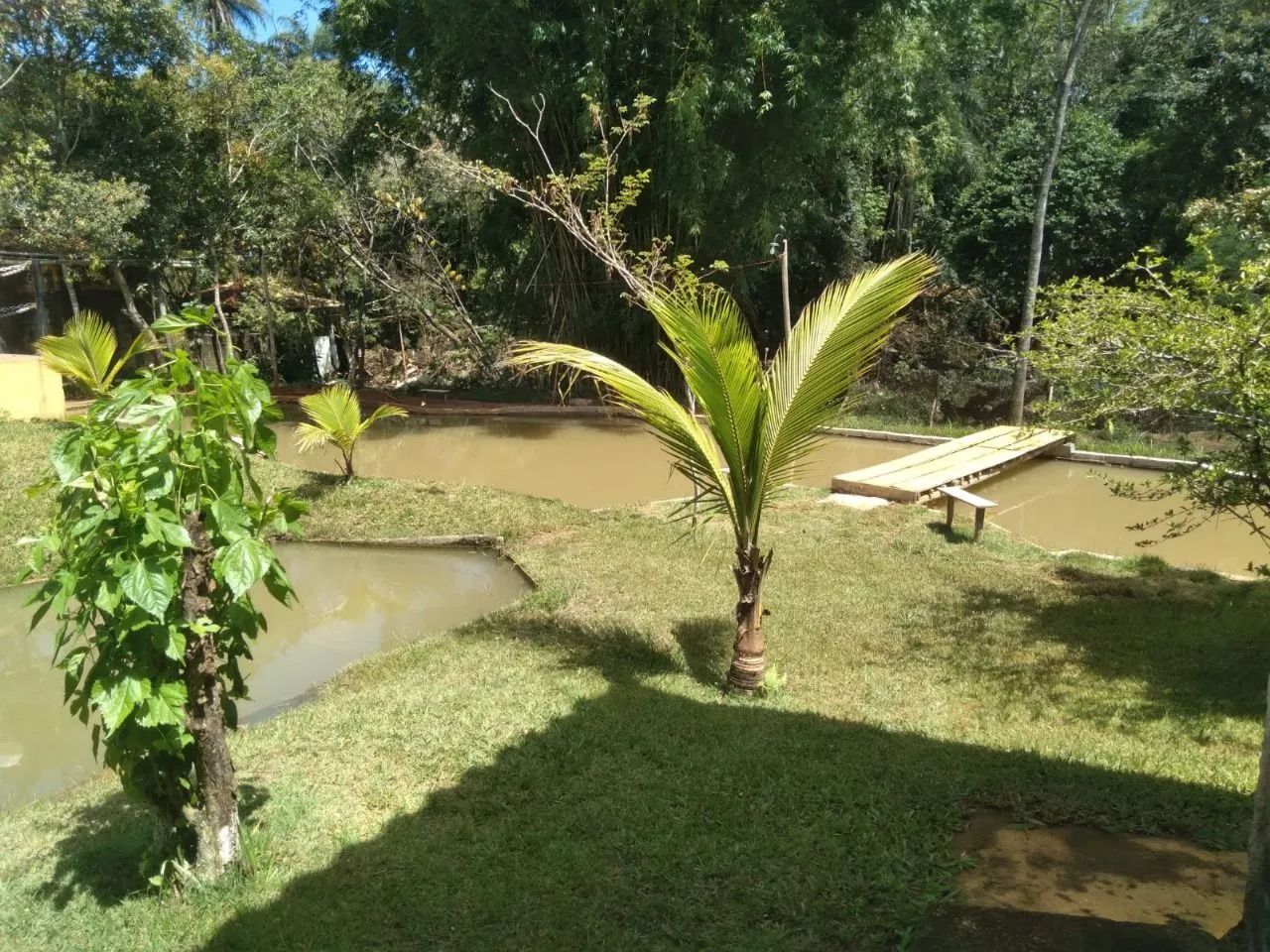 Oportunidade para você adquirir  - Foto 2