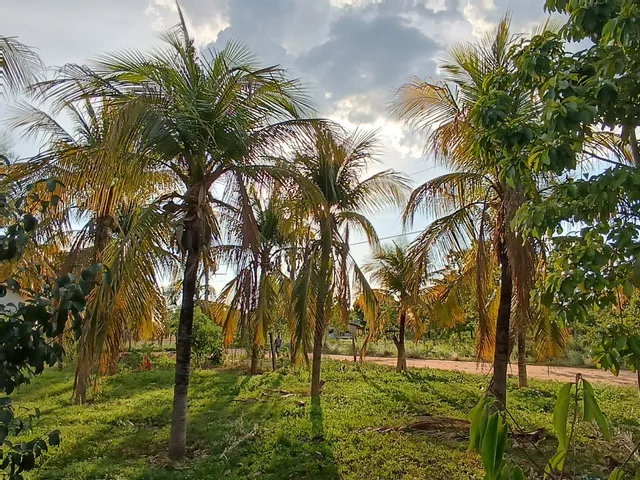 FAZENDINHA 48 HECTARES PERTO DE CUIABÁ 