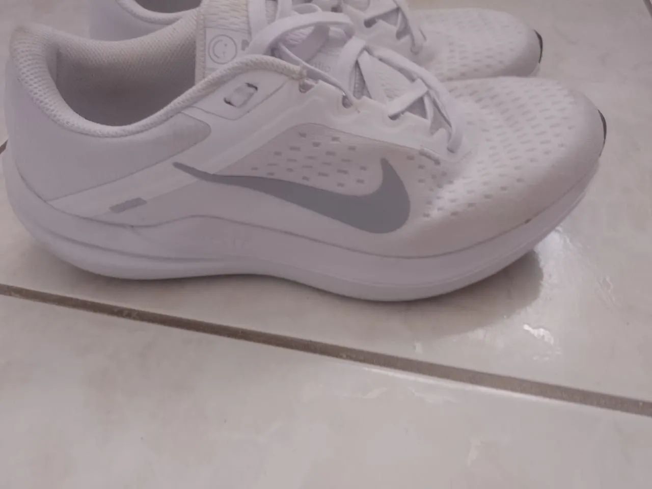 Tenis Nike Winflo 10