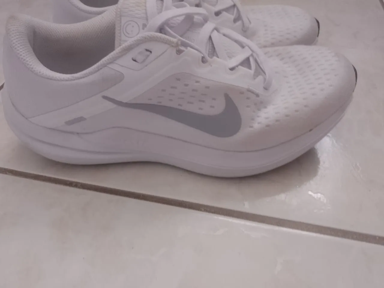 Tenis Nike Winflo 10