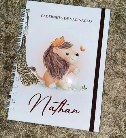 Caderneta de vacina  - Foto 2