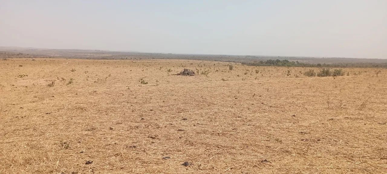 Procuro sócio ou investidor urgente 