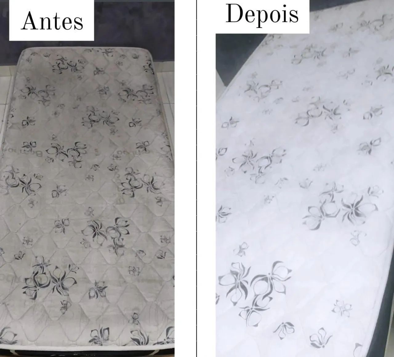 Higienização profissional  - Foto 4