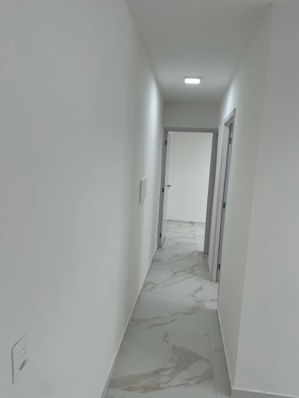 Foto - Feira de Santana - Papagaio