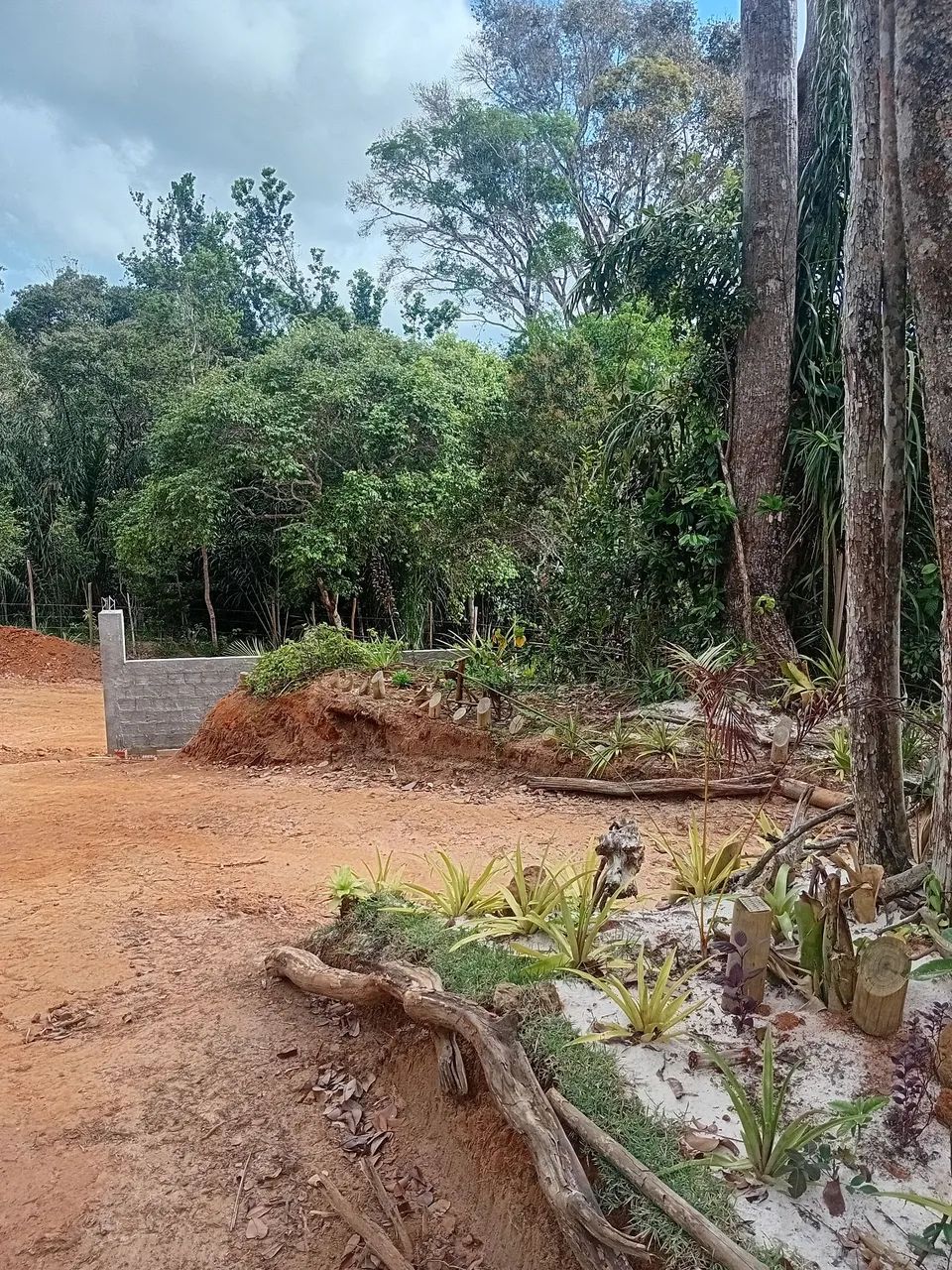 OPORTUNIDADE COMBINAÇÃO PERFEITA TERRENO EM SÍTIO E  PRAIA. APENAS 4KM DISTÂNCIA IMBASSAI, - Foto 10