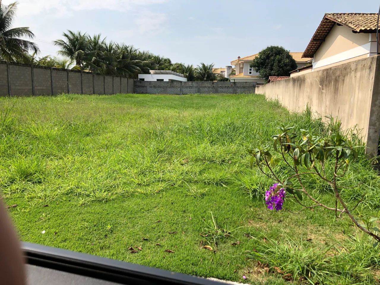 Foto - Campos dos Goytacazes - Centro