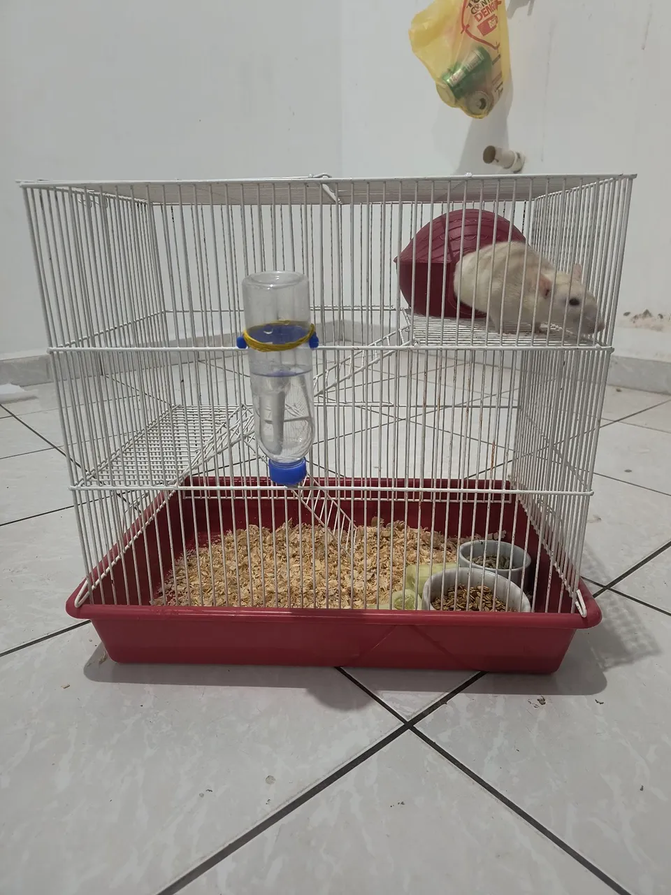 Gaiola para Roedores com rato de laboratório
