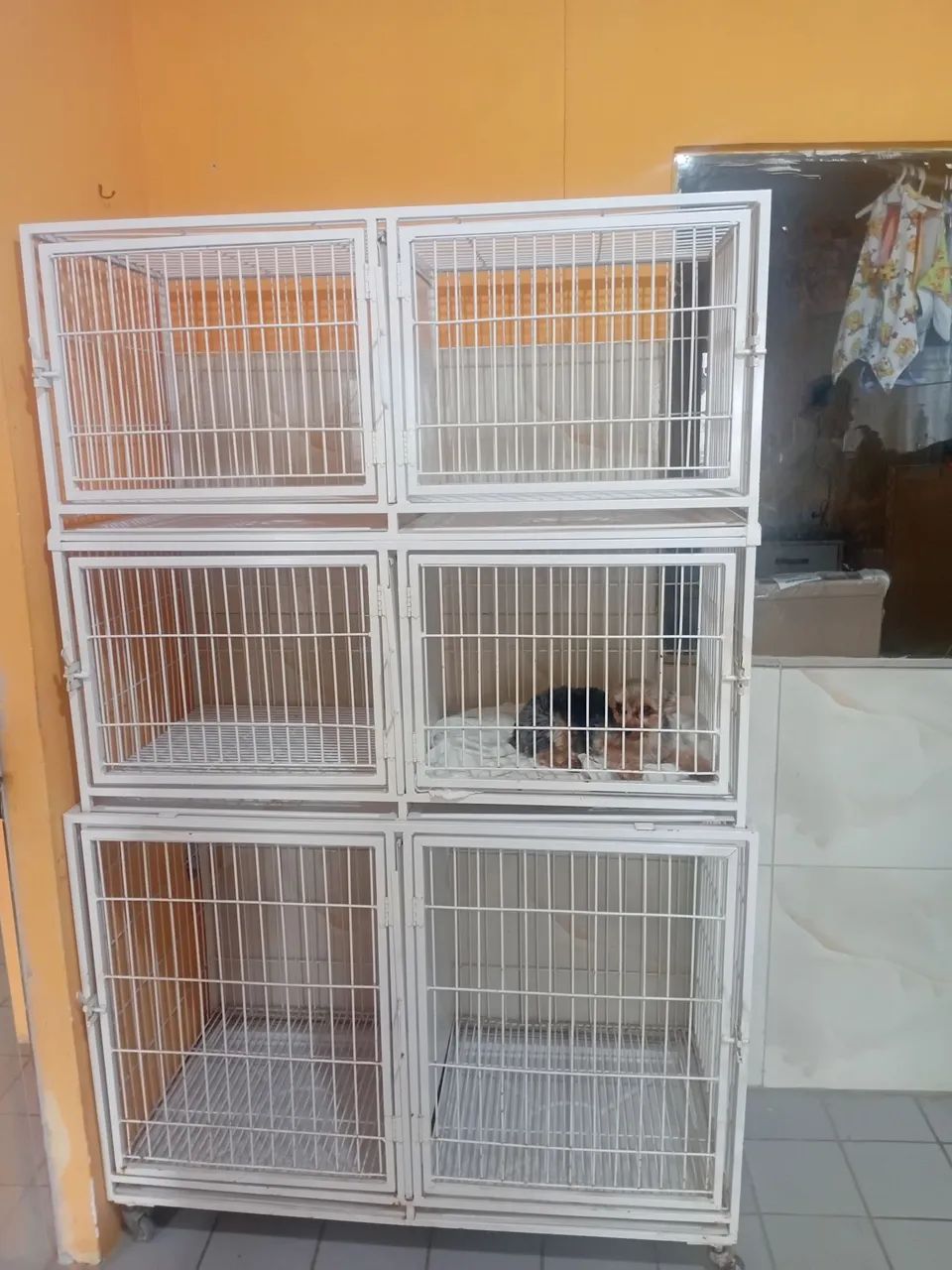 Gaiolas para cães ou gatos