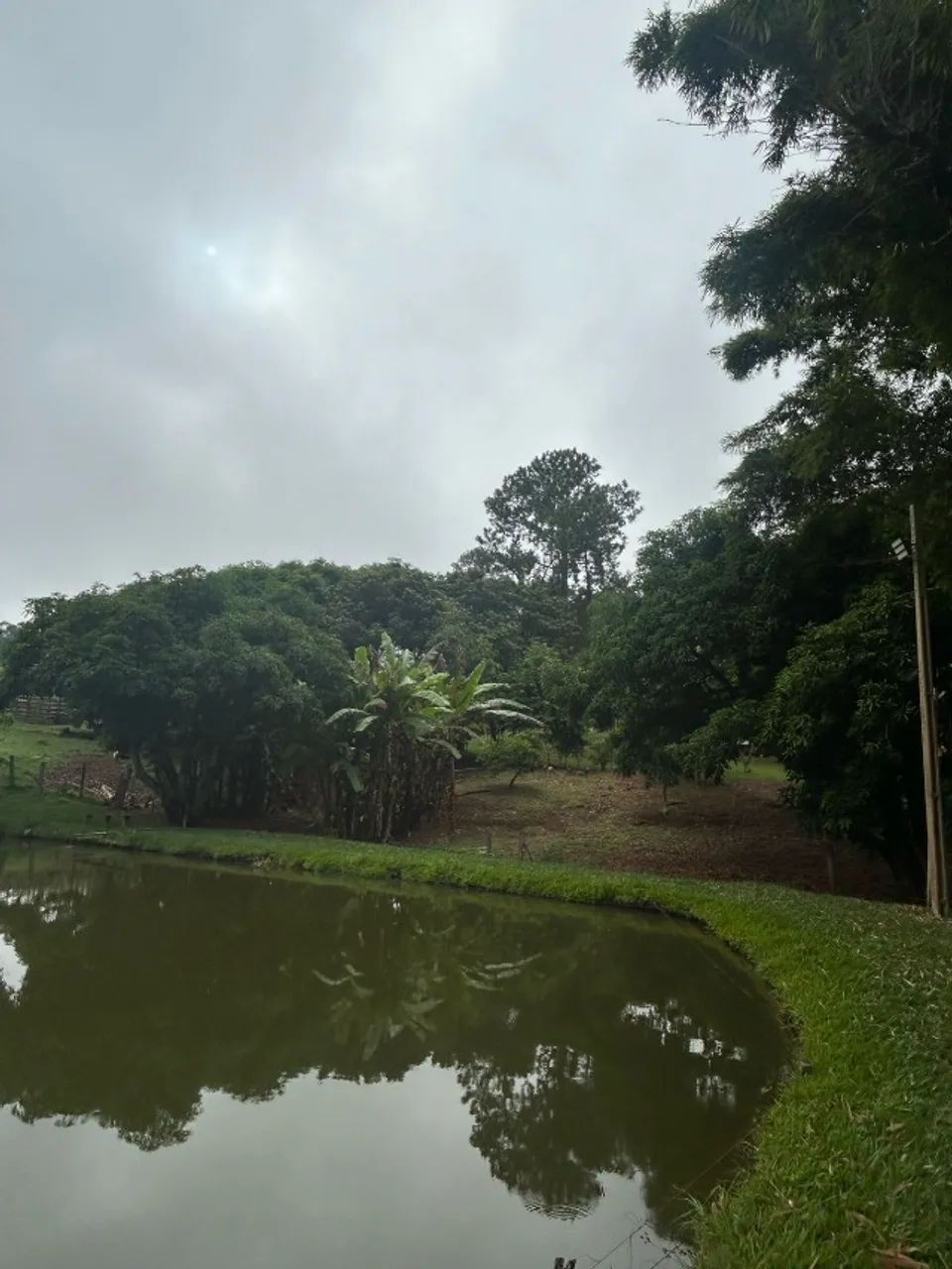 Foto - Bofete - 