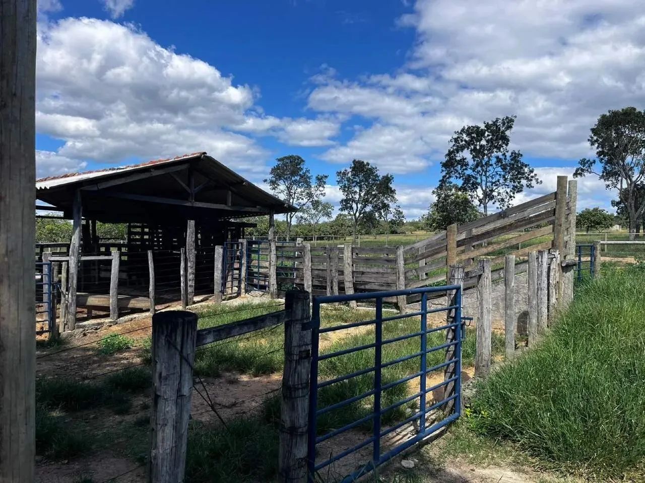 Fazenda com 4 quartos à venda, 0m² - Centro