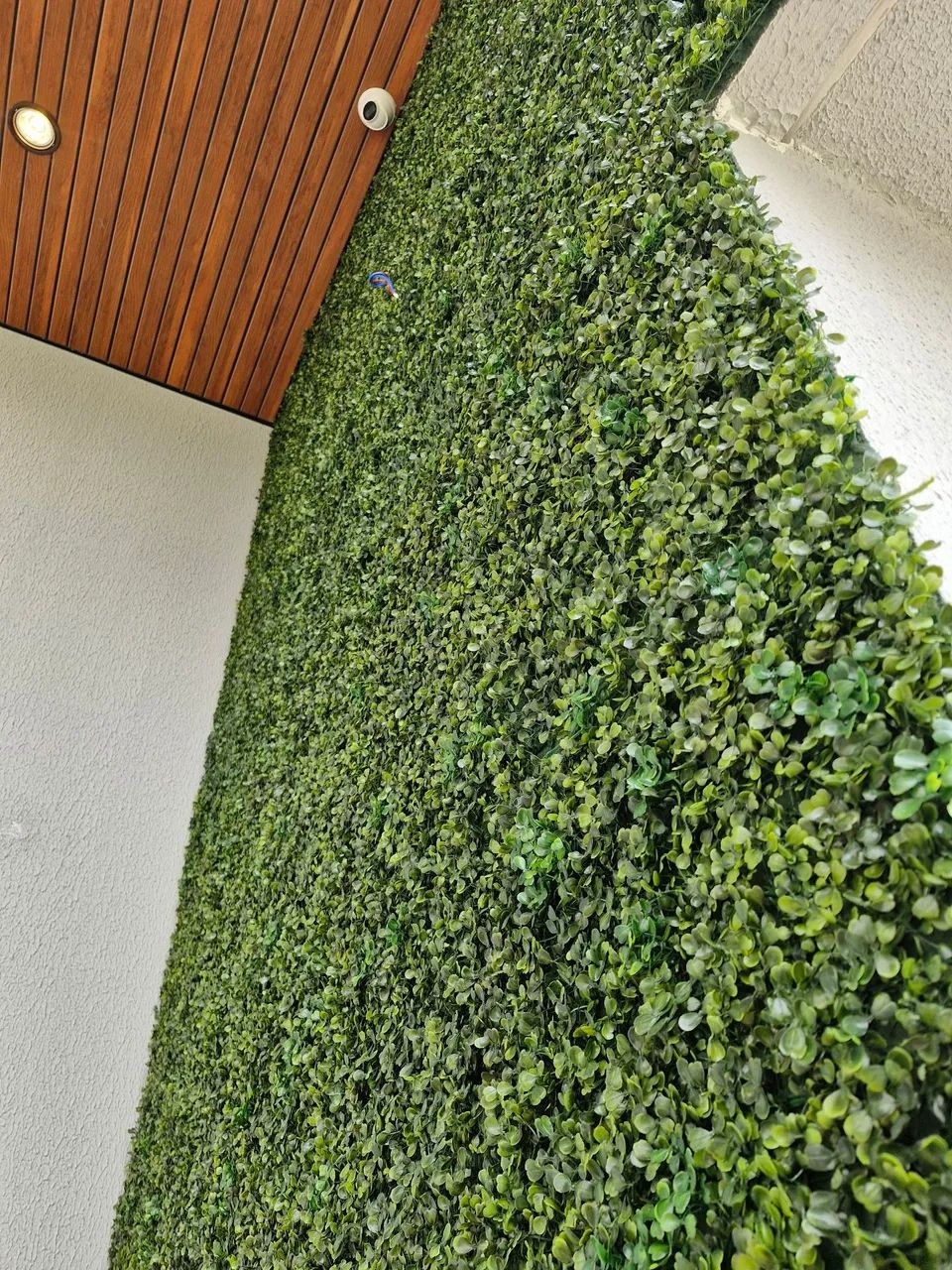 Muro Inglês artificial - Foto 3