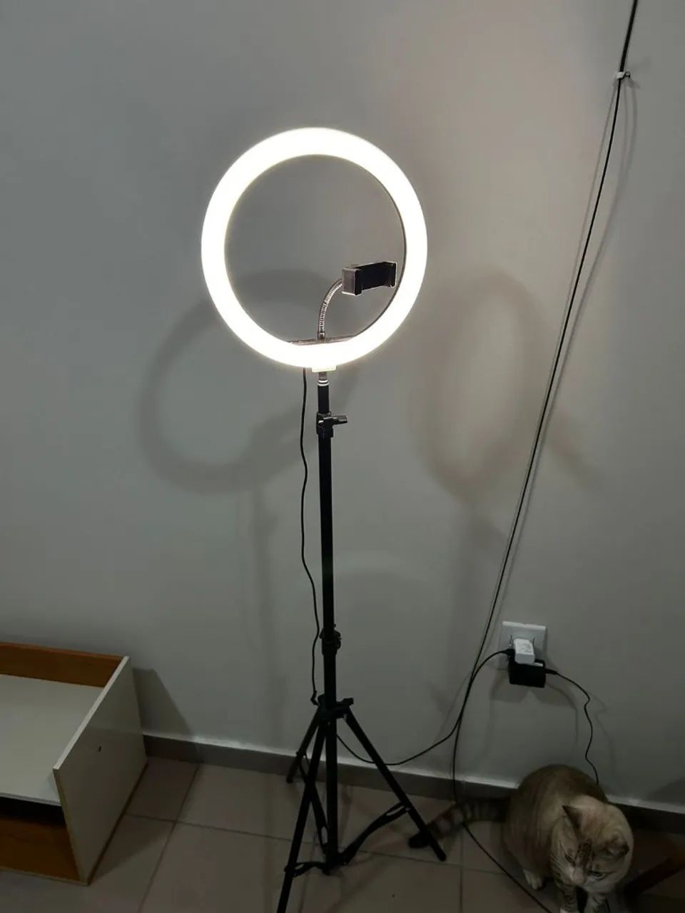 Ring light 64318616960897121