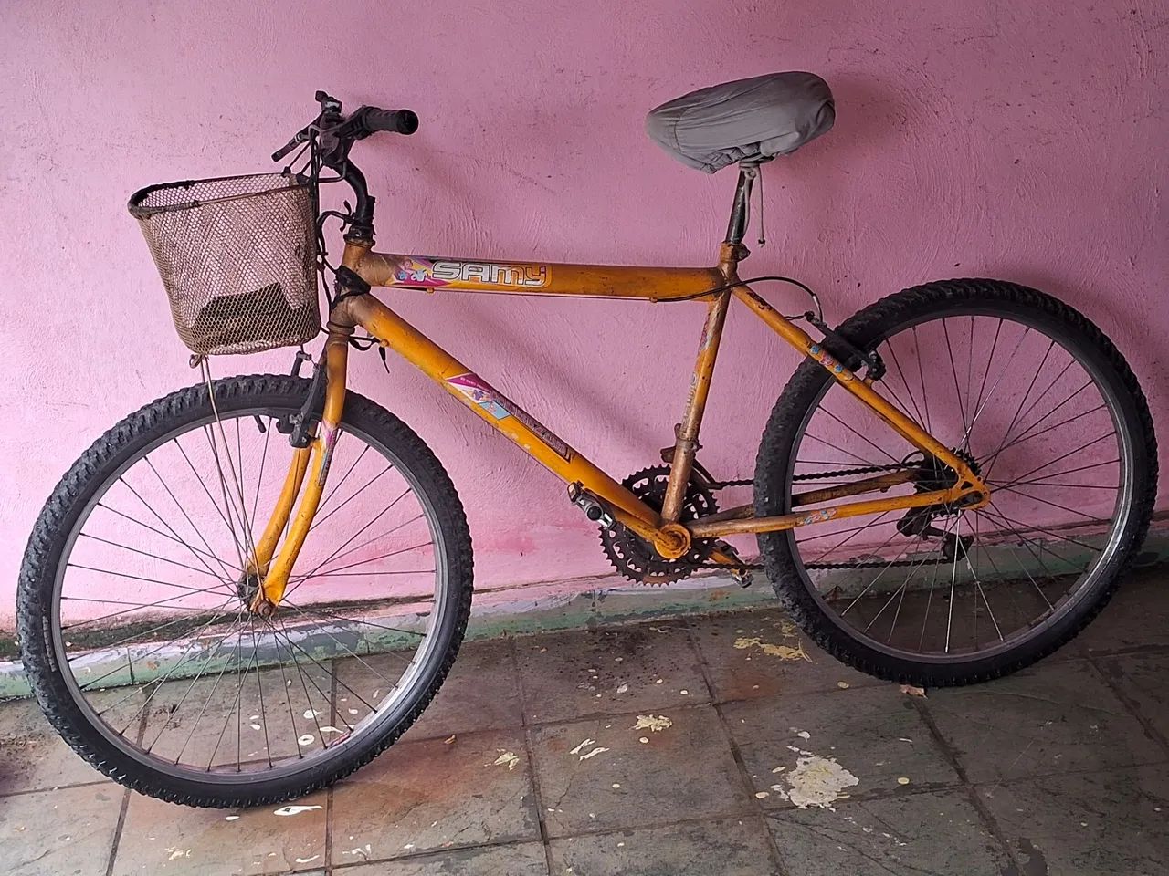 Bicicleta de Passeio