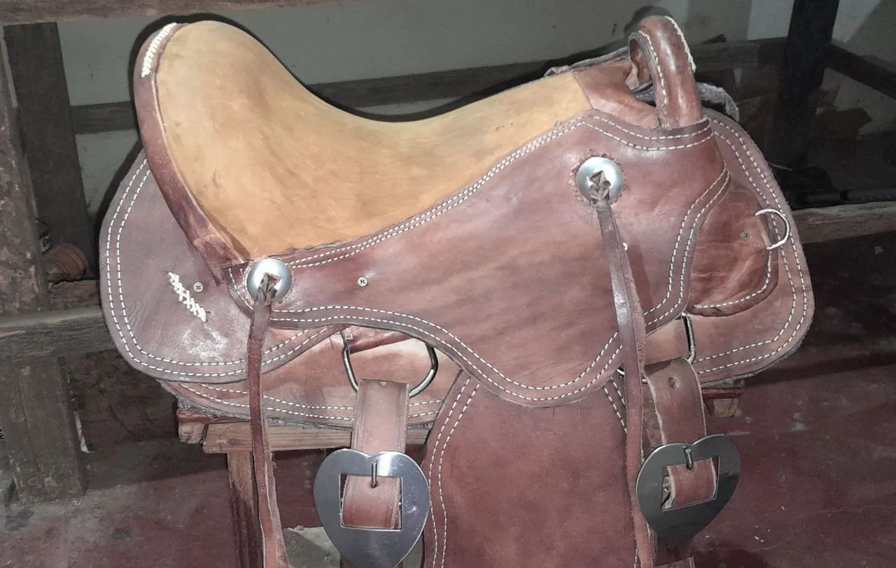 Sela australiana  - Foto 4