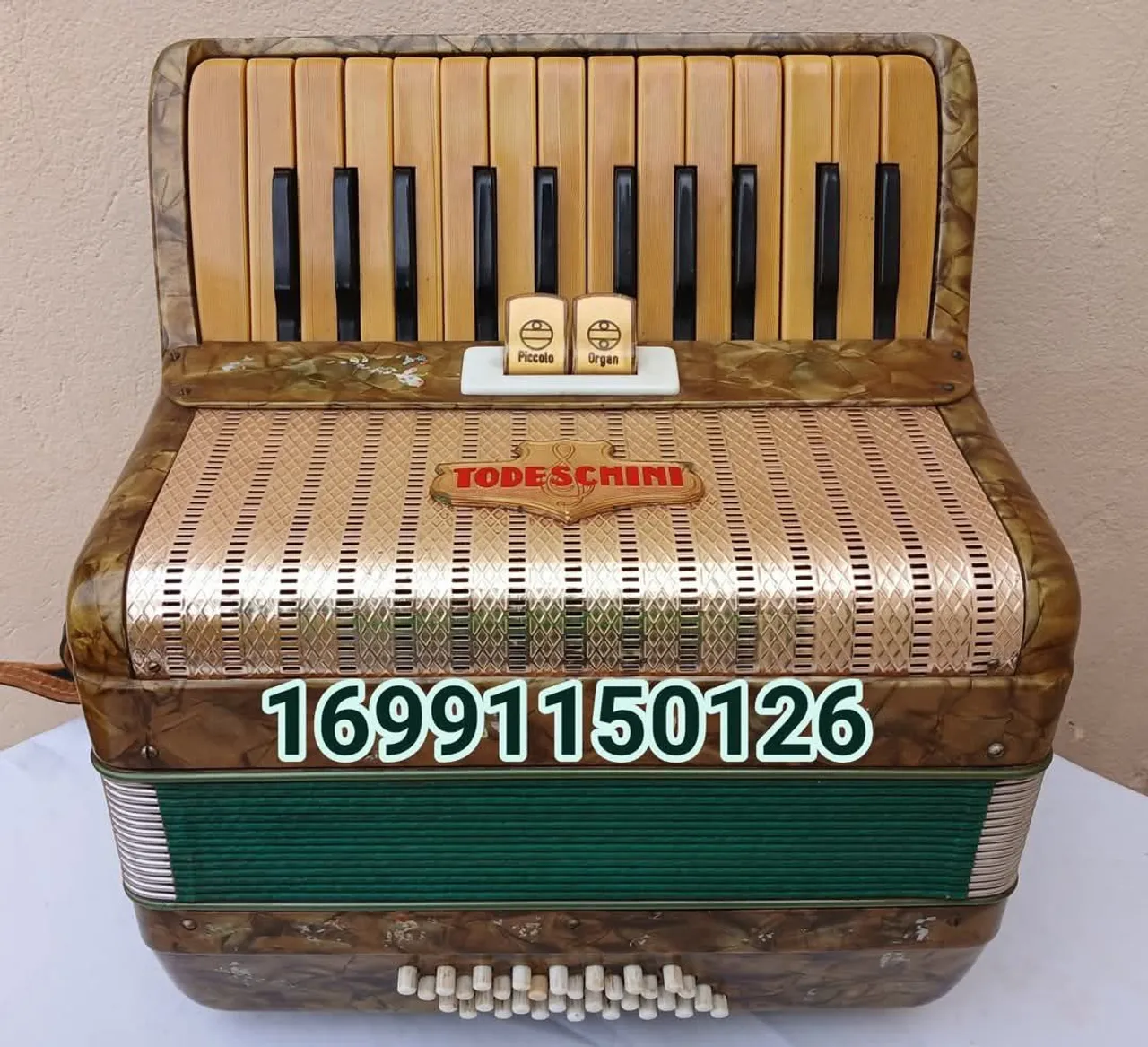 Acordeon Sanfona Todeschini 32 baixos