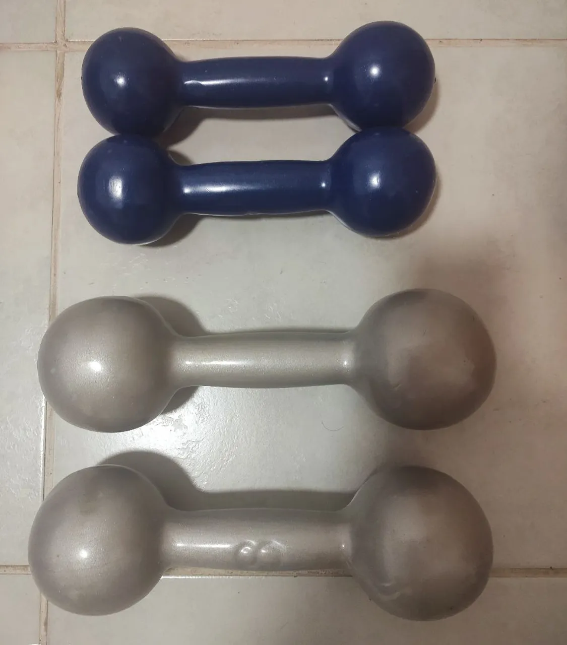 Halteres de Academia - Conjunto Completo