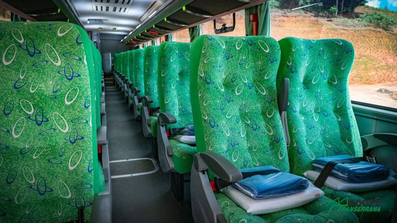 Comil 2011/11Scania k310 - Foto 4