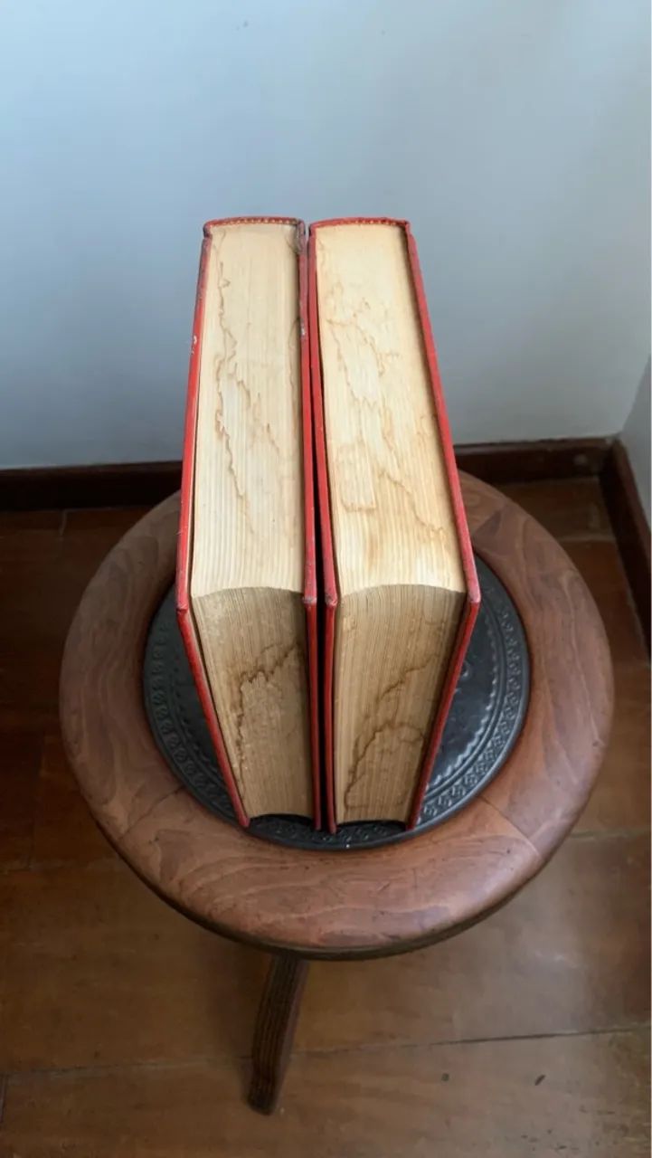 Dicionário Português-Inglês Barsa - Volumes 1 e 2 - Foto 4