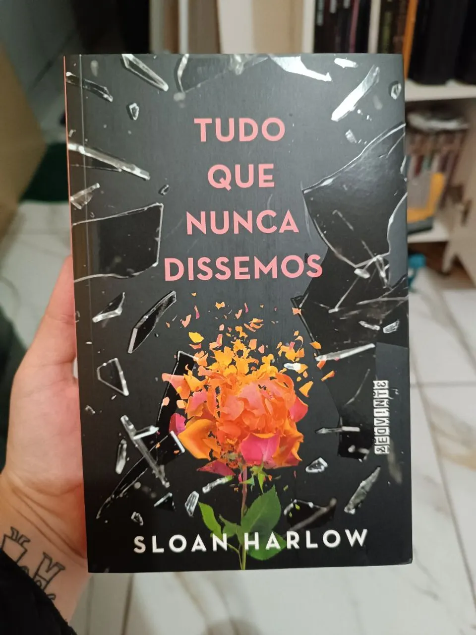 Livro Tudo Que Nunca Dissemos - Sloan Harlow