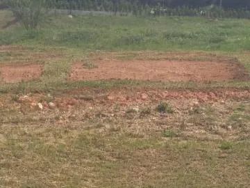 Terreno em condomínio fechado em Palmeira-Pr - Foto 2