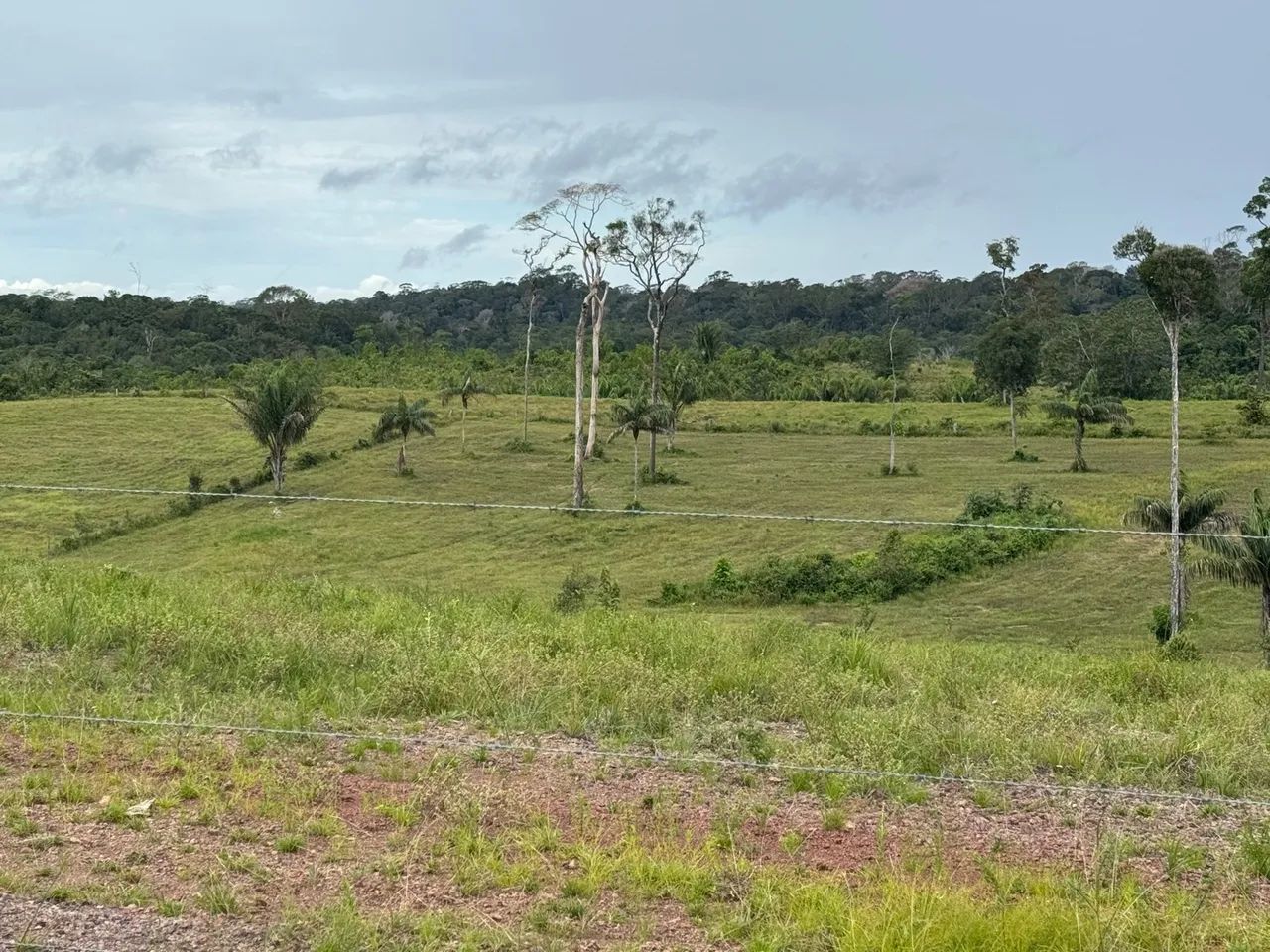 Fazenda à Venda no Porto Grande, Macapá:* - Foto 12
