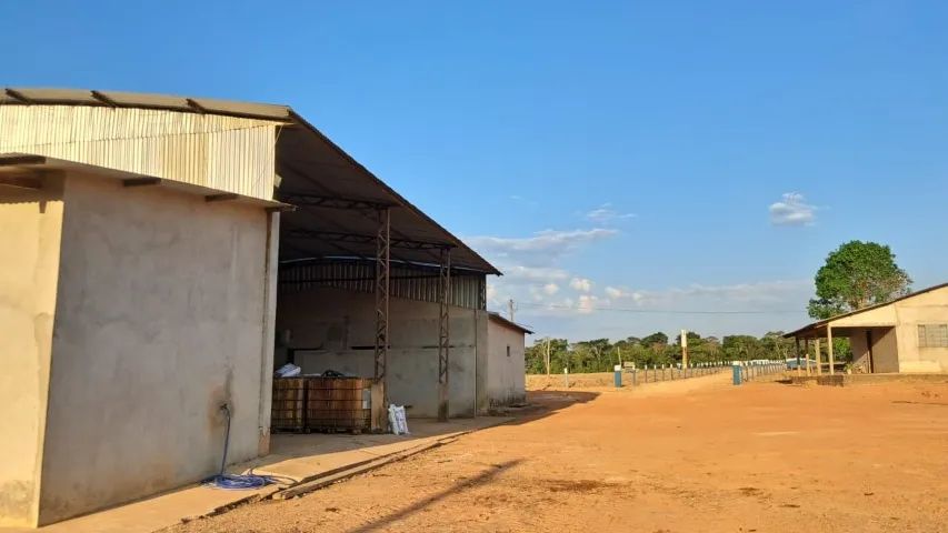 Fazenda em Mato Grosso  - Foto 2