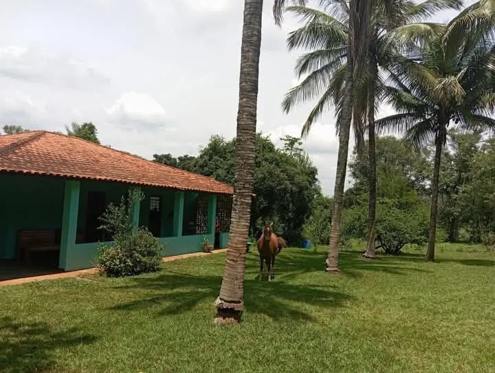 Chácara a venda na cidade de Pereiras em SP excele oportunidade