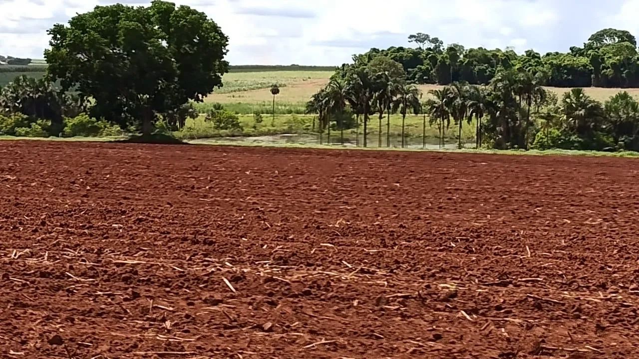 Fazenda em São Francisco de sales  - Foto 5