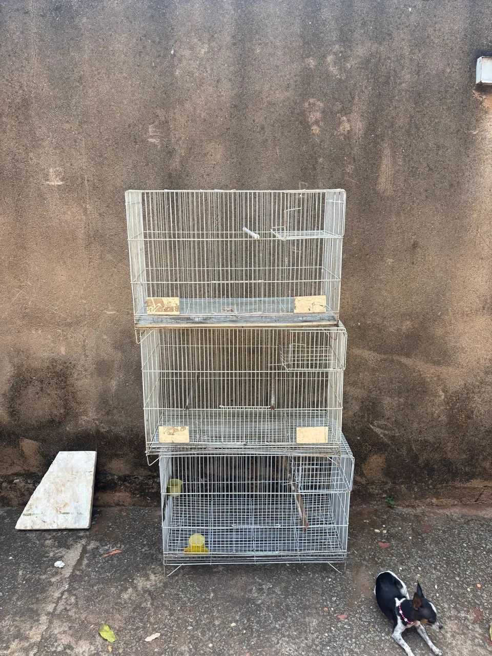 3 gaiolas disponíveis 