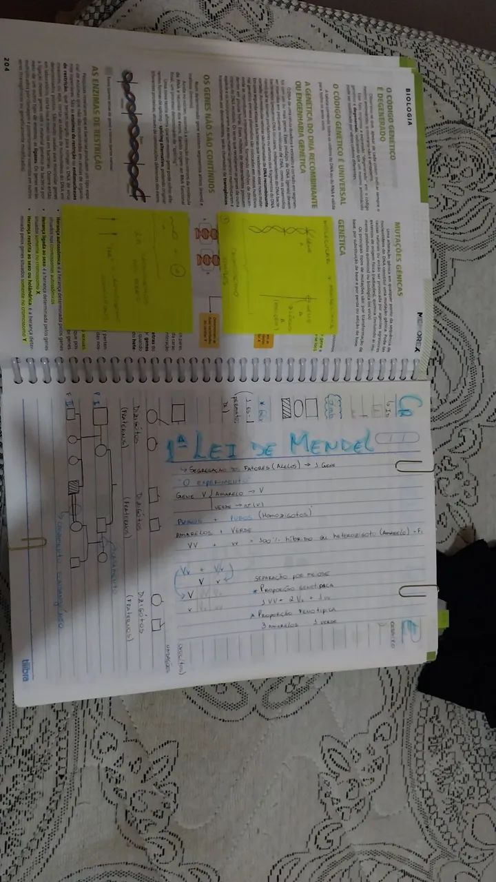 Memorex positivo - usado em bom estado  - Foto 3