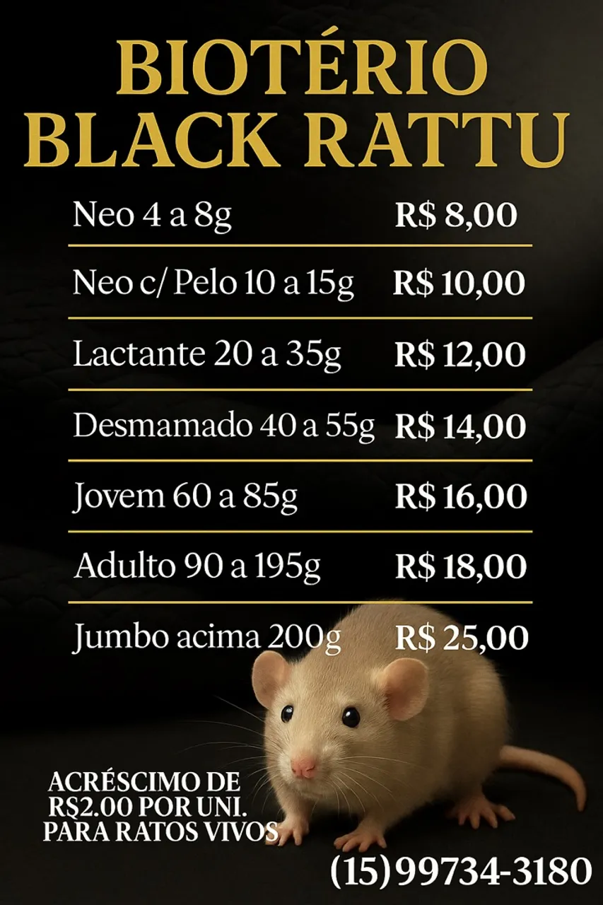 Biotério Black Rattu - Diversos Tamanhos ,Twister 