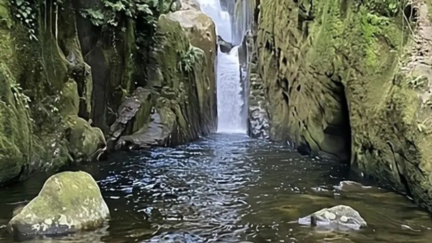 Paraty Espera Por Você - Associe-se Hoje Agricultura Sustentável! - Foto 2