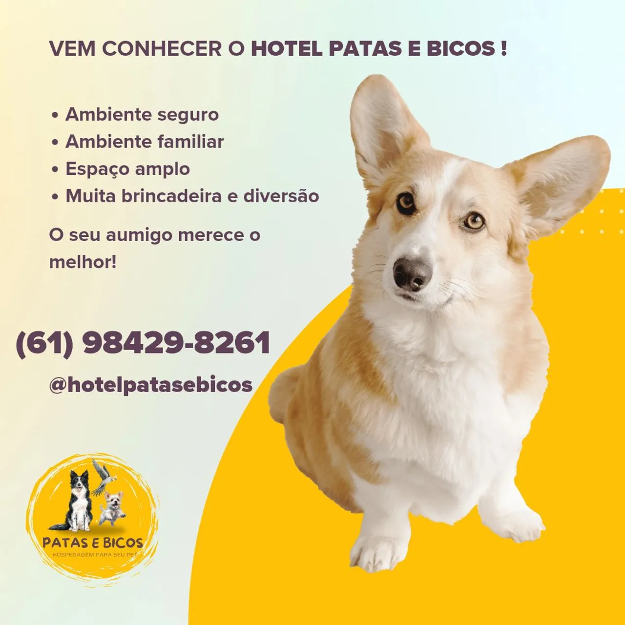 Hotel Patas e Bicos: Hospedagem para seu pet!